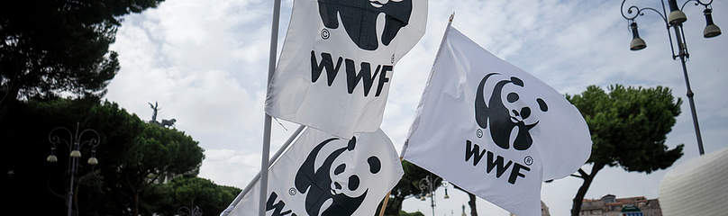 People's Climate March, Rome, Italy
© WWF / Antonio Amendola / The Stand
© WWF / Antonio Amendola / The Stand